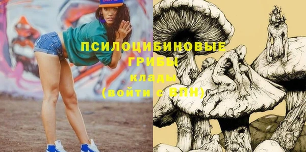 ПСИЛОЦИБИНОВЫЕ ГРИБЫ Приозерск