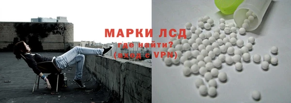 ПСИЛОЦИБИНОВЫЕ ГРИБЫ Приозерск