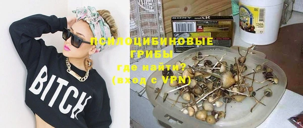 ПСИЛОЦИБИНОВЫЕ ГРИБЫ Приозерск