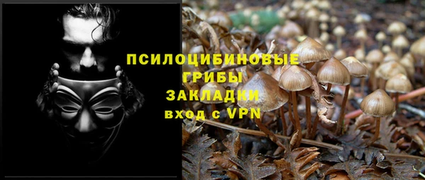 ПСИЛОЦИБИНОВЫЕ ГРИБЫ Приозерск