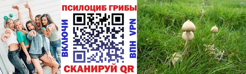 Галлюциногенные грибы Magic Shrooms  Купить закладки  Гудермес 
